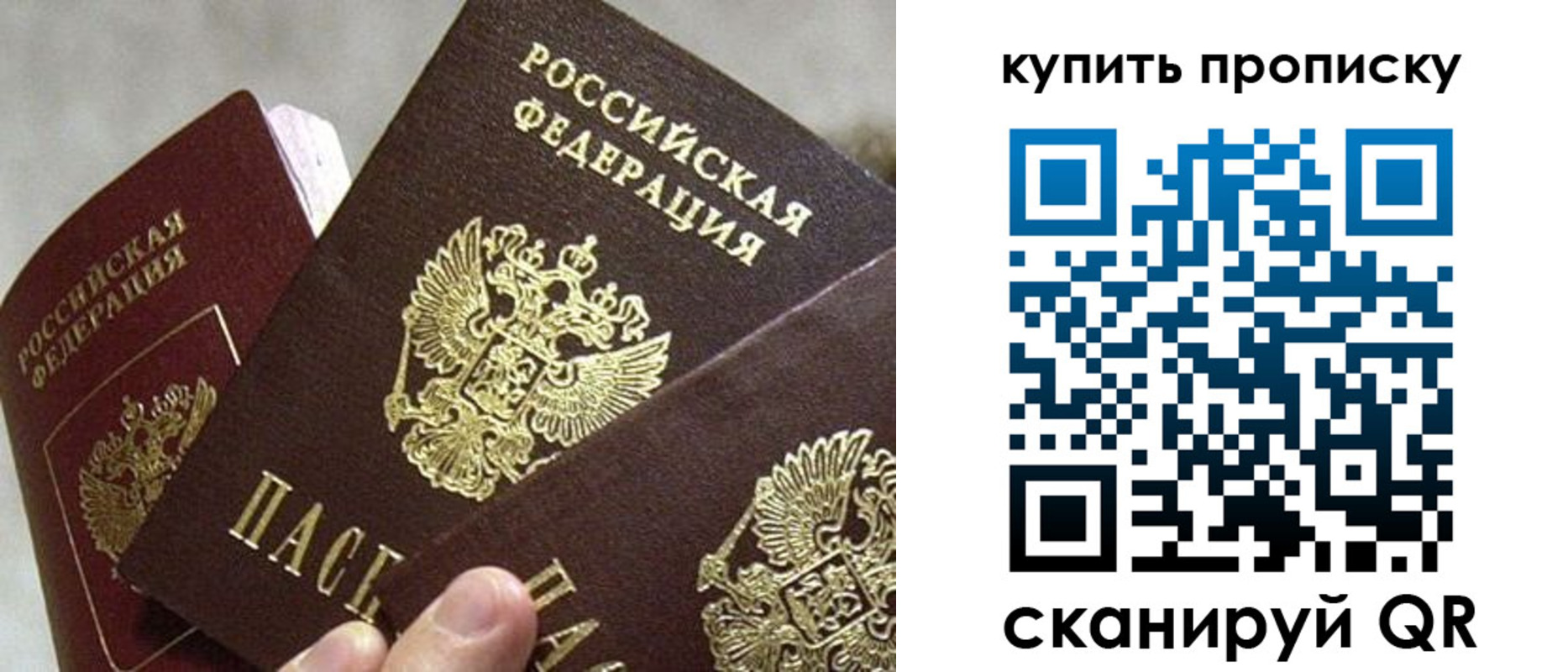 прописка для школы в Боровичах